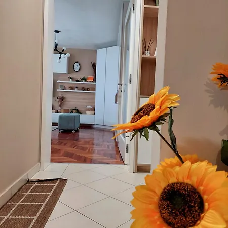 Apartmán Stan Na Dan Sara - U Blizini Centra Grada *