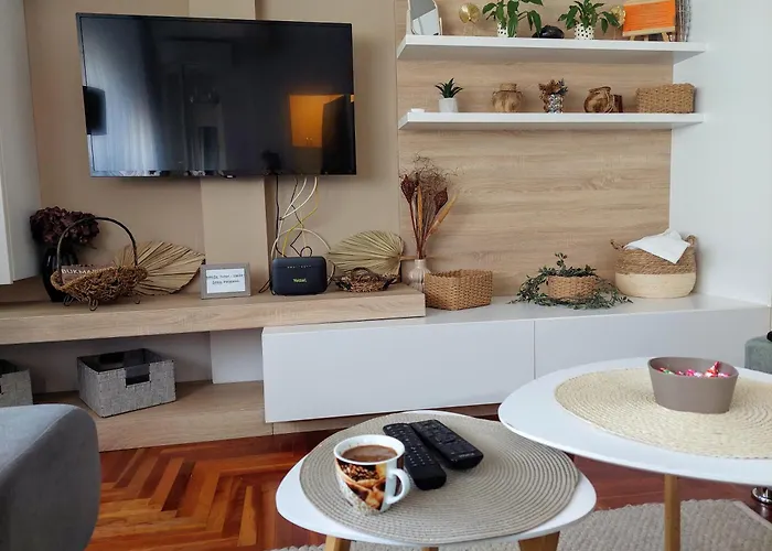 Stan Na Dan Sara - U Blizini Centra Grada Novi Sad